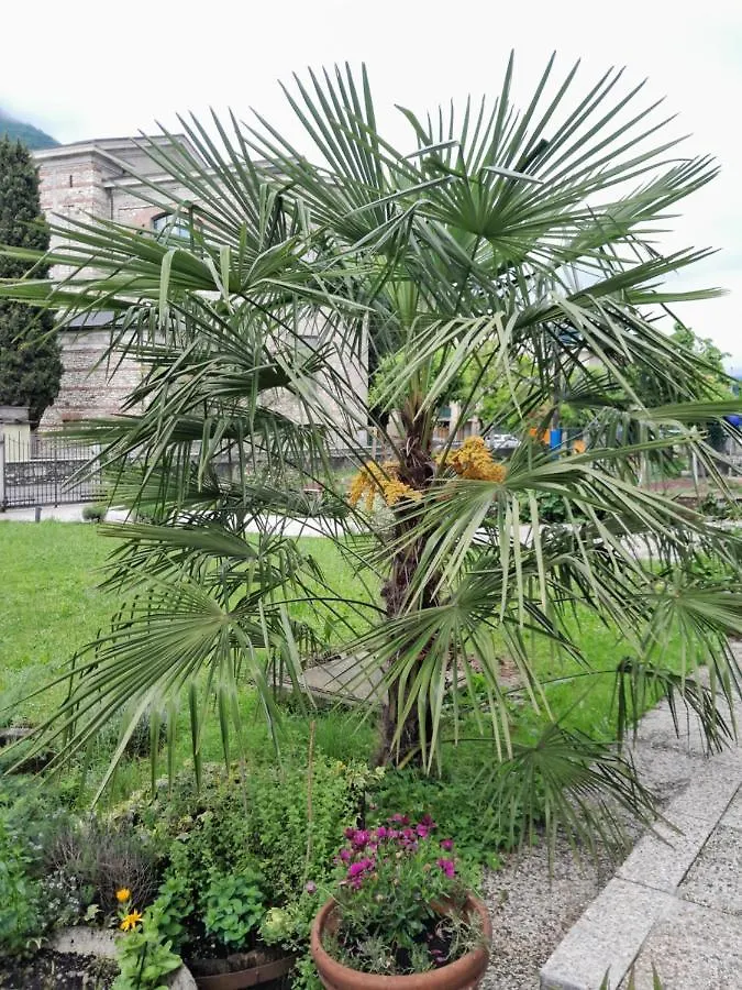 Bed & Breakfast B&B Villa Rosella Appartamento Completo Di Camera Matrimoniale E 2 Letti Singoli Villanuova sul clisi Italy